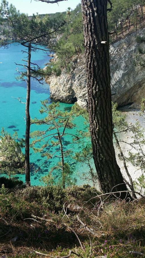 Appartement Vue Mer Crozon Exteriér fotografie